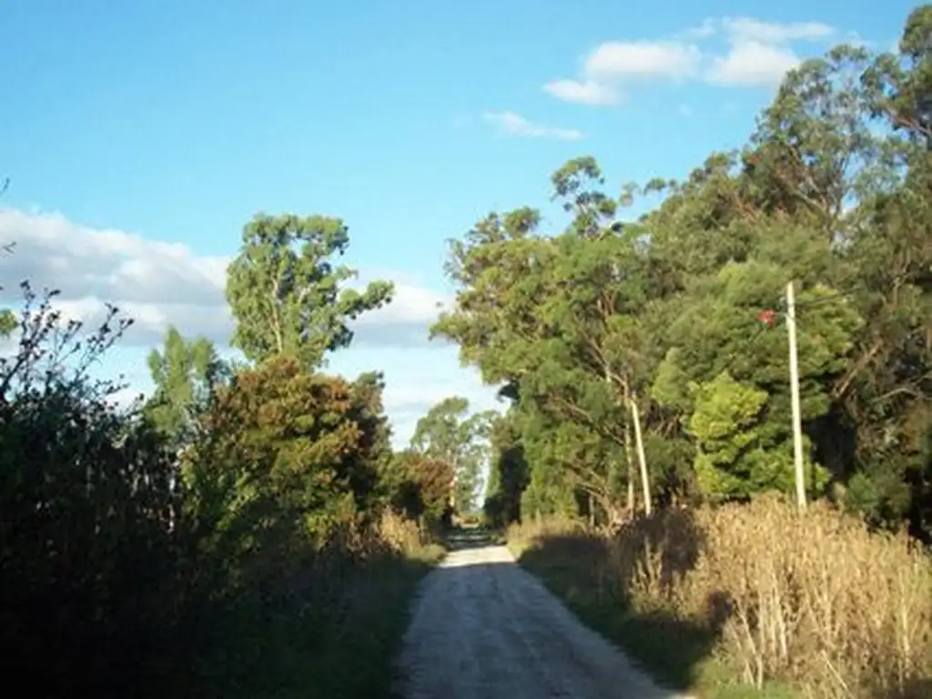 Terreno en venta en Veronica Provincia de Buenos Aires