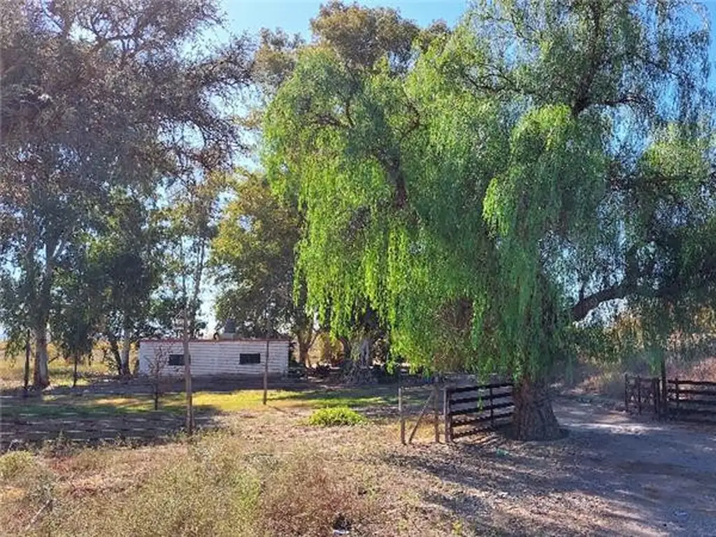 PROPIEDADES RURALES - AGRICOLA - CAUCETE