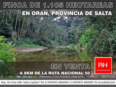 CAMPO 1105HAS. EN ORAN- VENTA