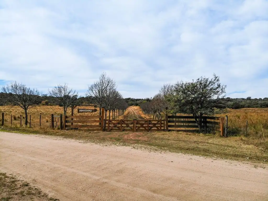 VENTA CAMPO 199 HA en Las Higueras