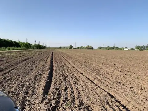 Campo 3 hectáreas Agrícolas Soldini