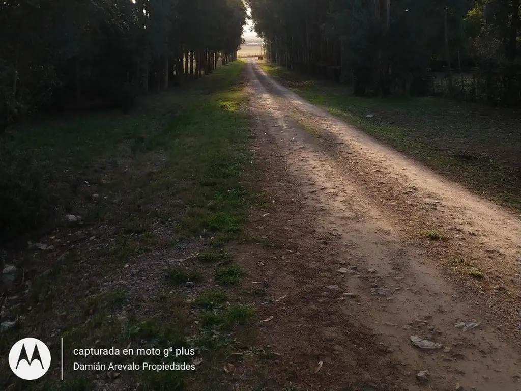 VENDO TERRENO EN LOMA DE CAMPANO