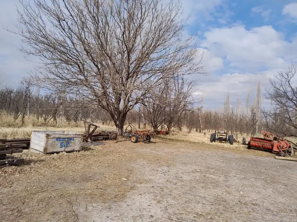 VENTA CHACRAS DE 3 Y 4 HECTAREAS- CTE. CORERO