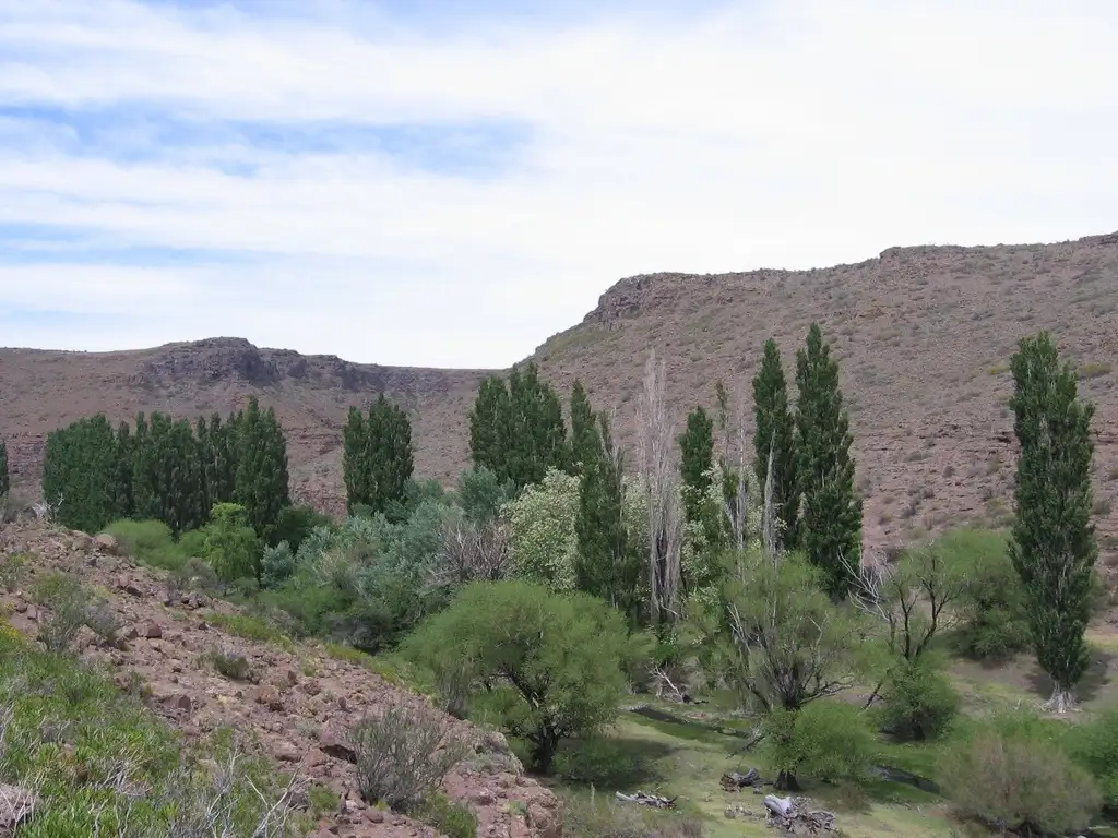 Vendo campo ganadero 25000 has en Chubut