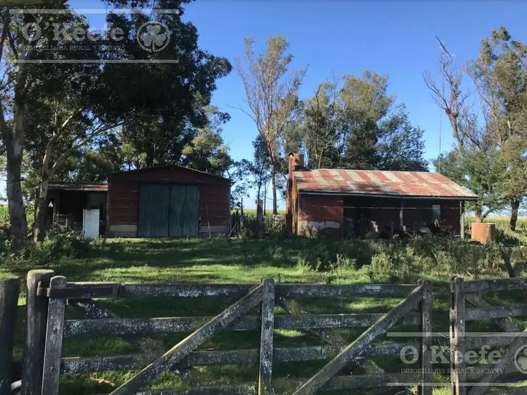 Campo en venta 470 has en Maipu. Unidad Ganadera con mejoras.