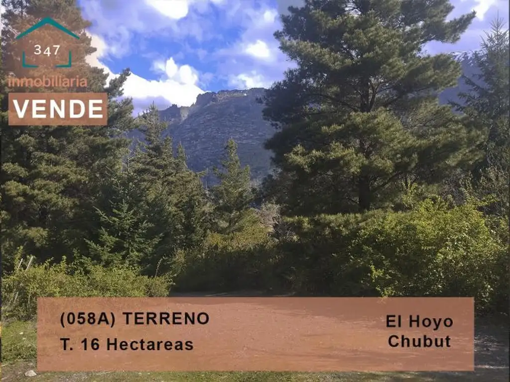 (058A) TERRENO de 16Has. en El Hoyo