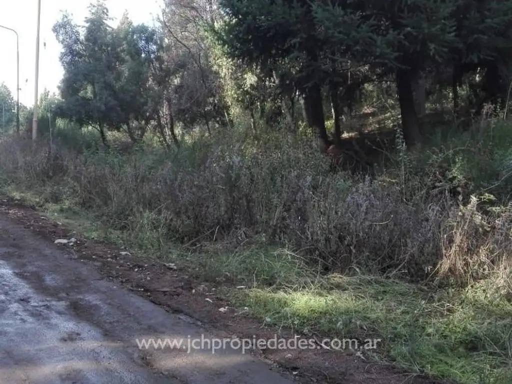 LOTES COMERCIALES EN "EL MERCADO" - VILLA LA ANGOSTURA