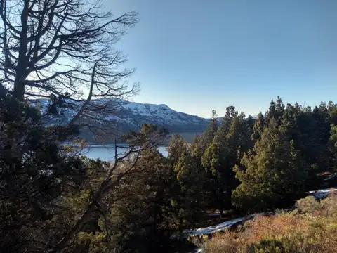 Terreno de media hectárea en venta frente al Lago Pellegrini, Cholila