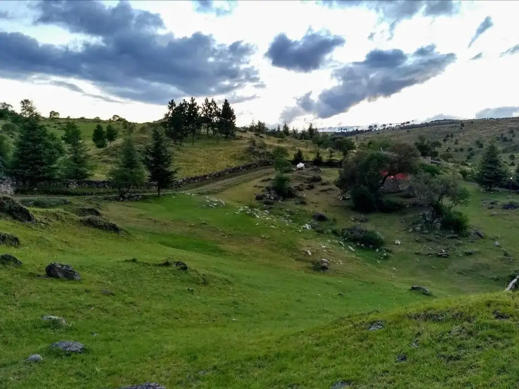 Fantásticos lotes desde 2000 m2 en Loma del Tigre, Camino a La Cumbrecita - Cba