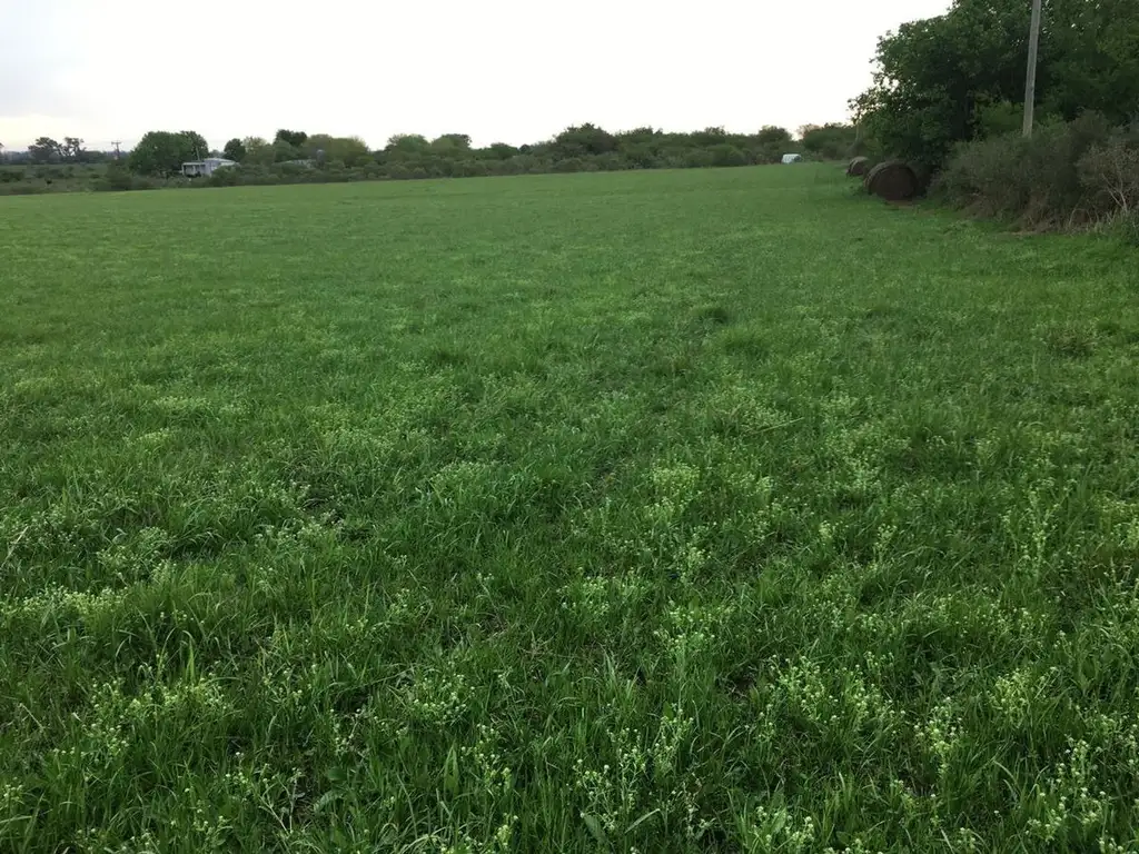 Lotes VENTA Colonia Hugues, Colón Entre Ríos