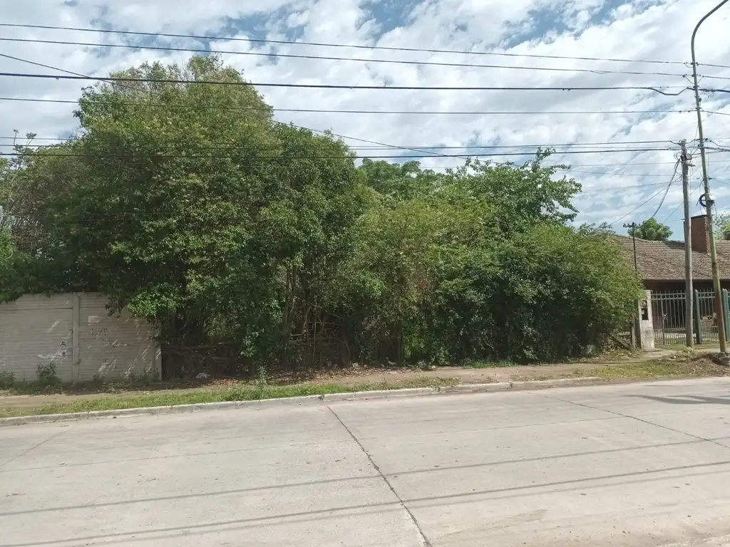 Terreno de 15 metros de frente x 100 metros de fondo, en Plátanos.