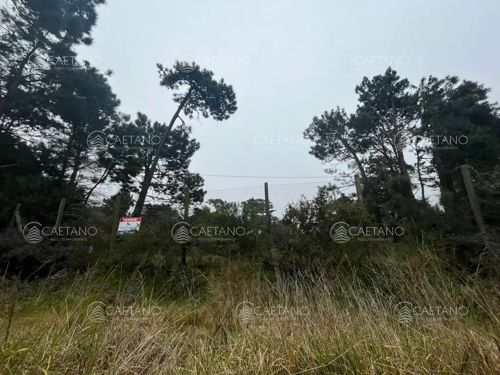 Terreno ubicado en zona residencial.