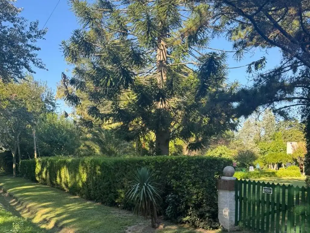 Casa Quinta en Venta, Villa Elisa, La Plata.-