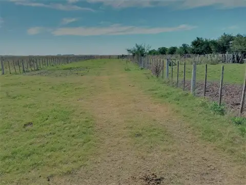 Campo en Venta - USD 438.400