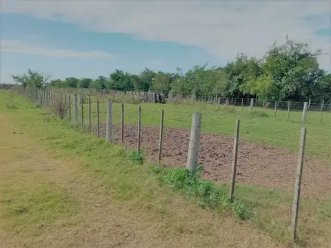 Campo en Venta