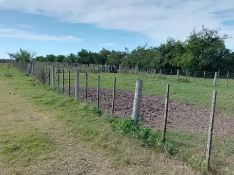 Campo en Venta en Adela