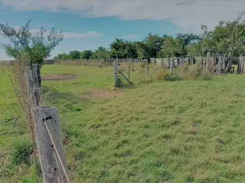 Campo ganadero, a 8 km de ruta dos, Chascomús. - Foto 0