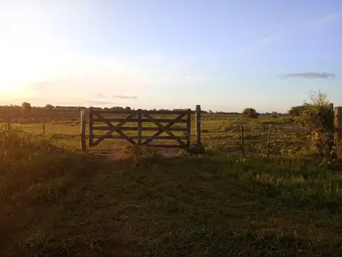 Campo en venta 52,8 hectares en "El Espinillo"
