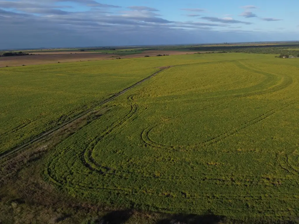 267 has excelente campo agrícola ganadero