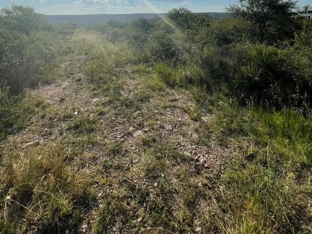 Hermoso terreno en San Lorenzo