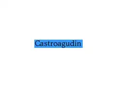 CASTROAGUDIN PROPIEDADES
