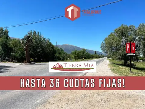 TIERRA MIA - Lote 84