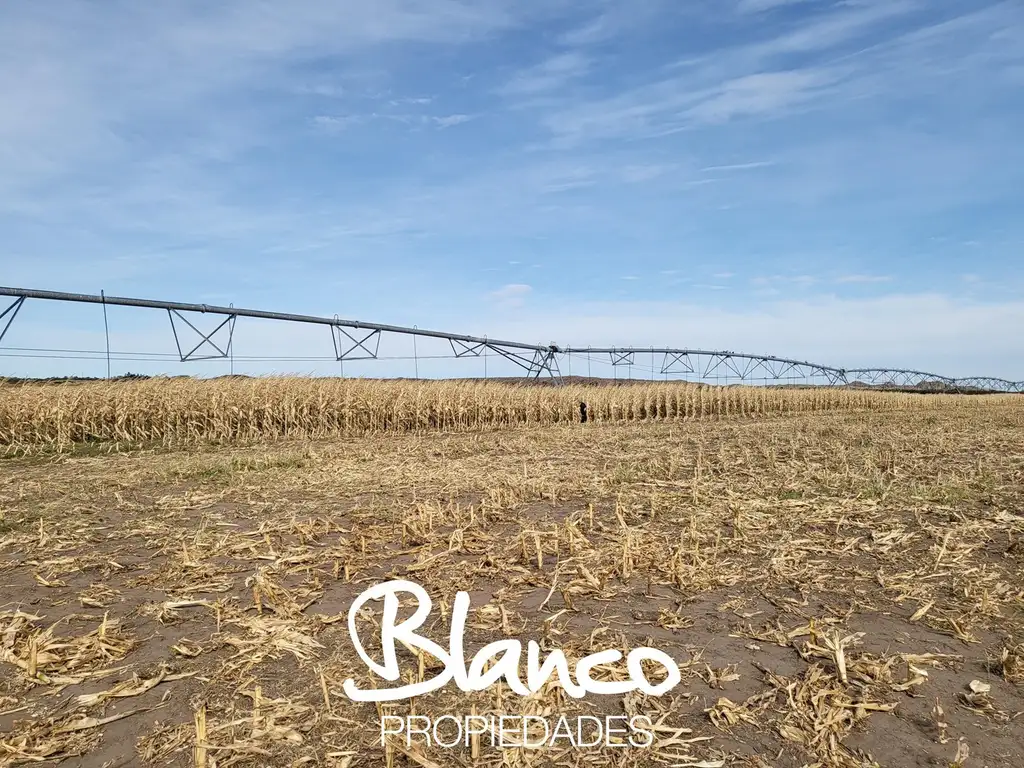 Campo  en Venta en Villa Mercedes, Pedernera, San Luis