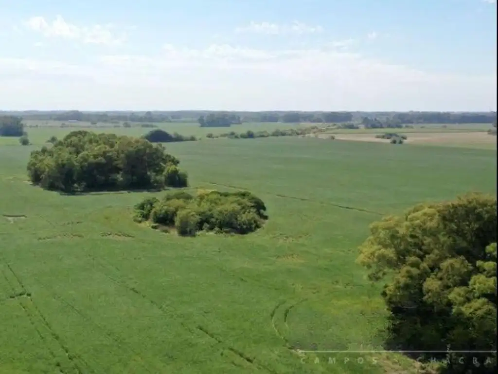 VENTA CAMPO AGRICOLA Y/ PARA DESARROLLOS URBANO