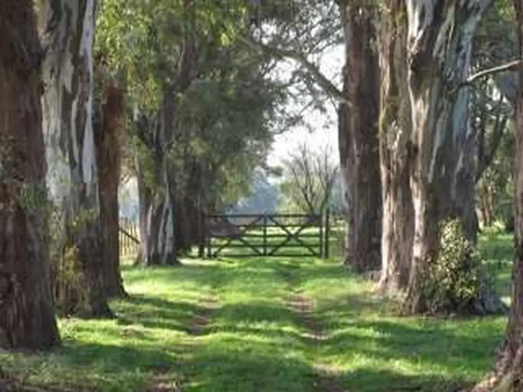 Campo Venta Zona Polo