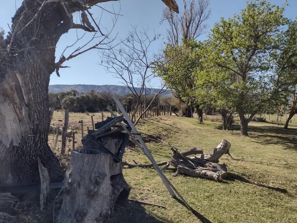 Campo en venta de 36 has en Papagayos, San Luis