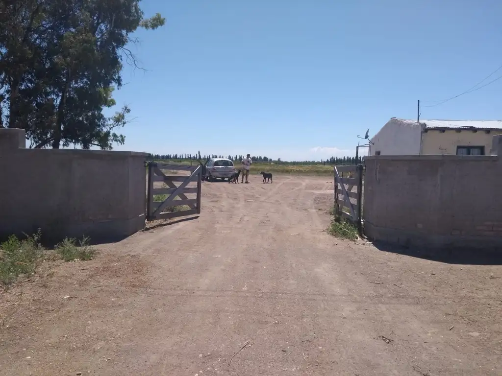 Fracción de 9,25 has. campo descansado (al menos 5 años) y nivelado en su mayoría,