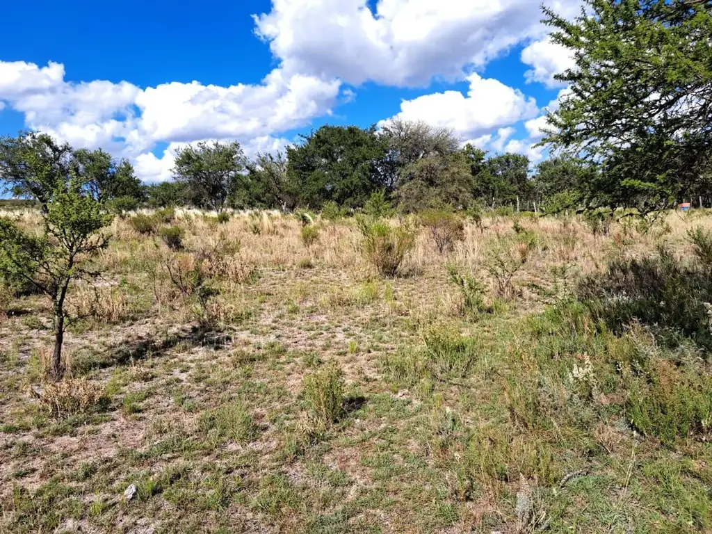 Terreno en San Lorenzo