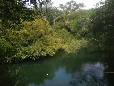 Se vende campo en Cerro Largo, sobre Río Tacuarí