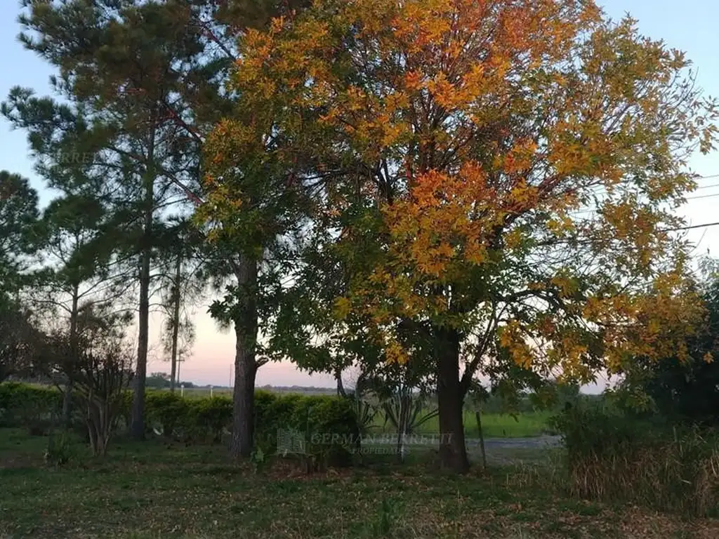 Terreno Campo  en Venta en General Güemes, Chaco, Argentina