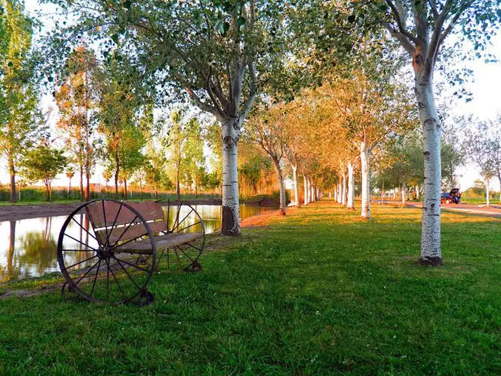 VENTA TERRENO PINARES DEL SUR PIÑERO