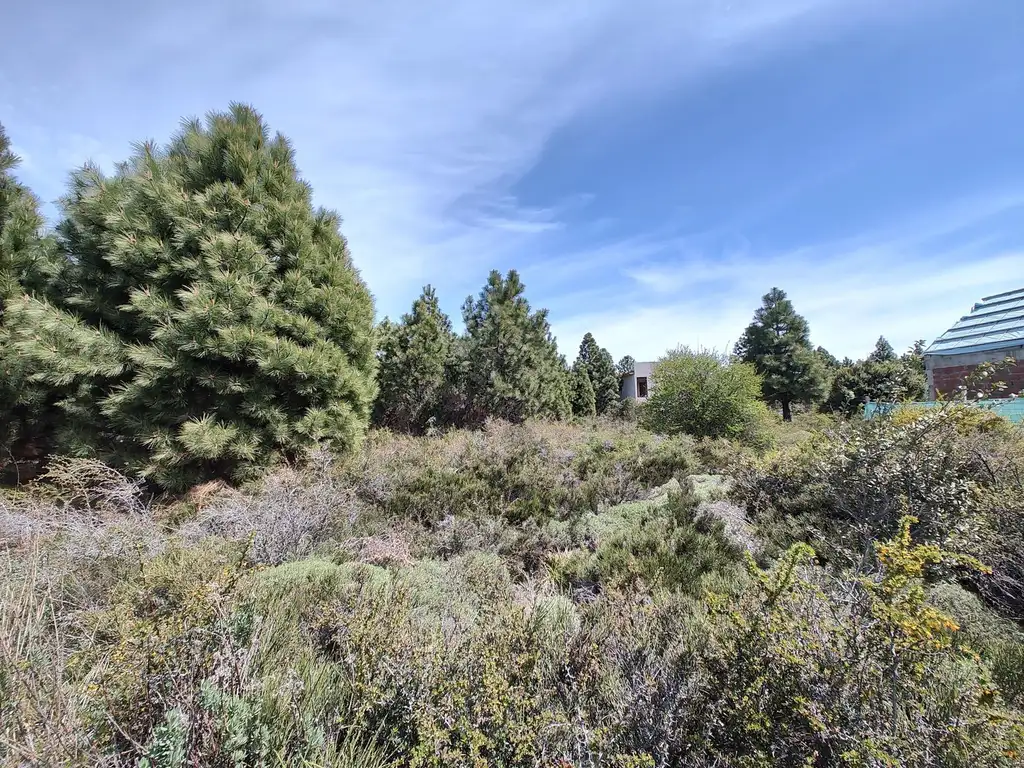 Terreno en San Carlos De Bariloche