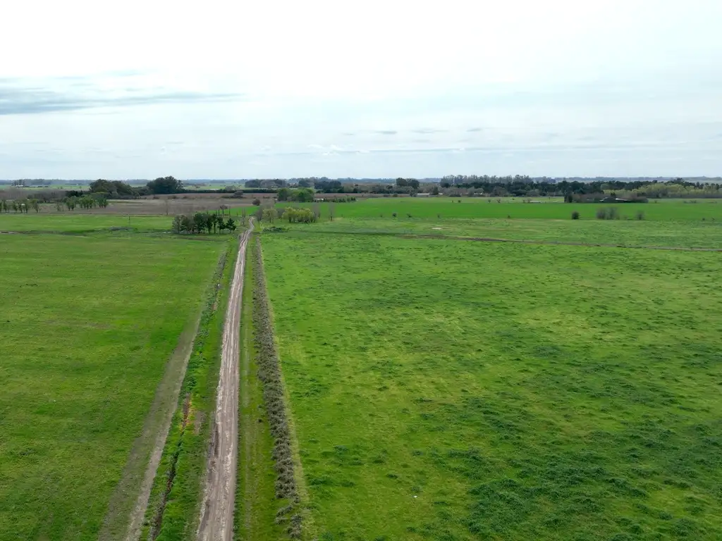 52 Has. Campo Agrícola entre Capilla y Diego Gaynor