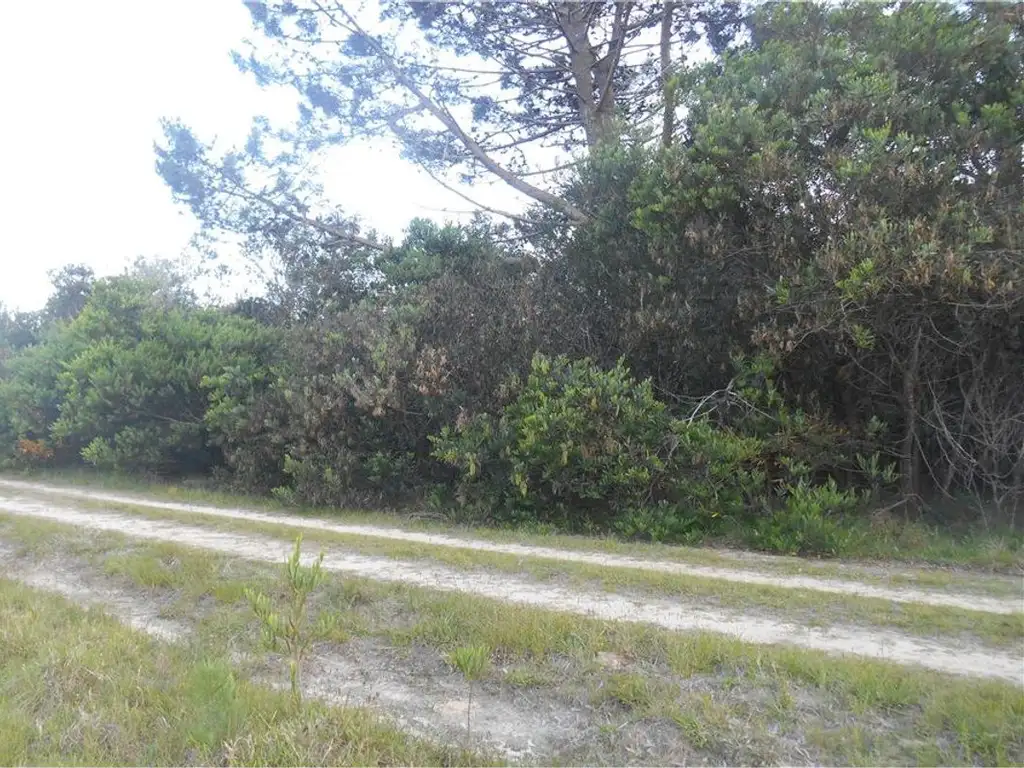 Terreno en venta en Oceanía del Polonio