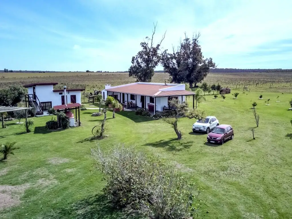 VENTA CAMPO 50 HA EN CAPILLA DE CELLA, CANELONES