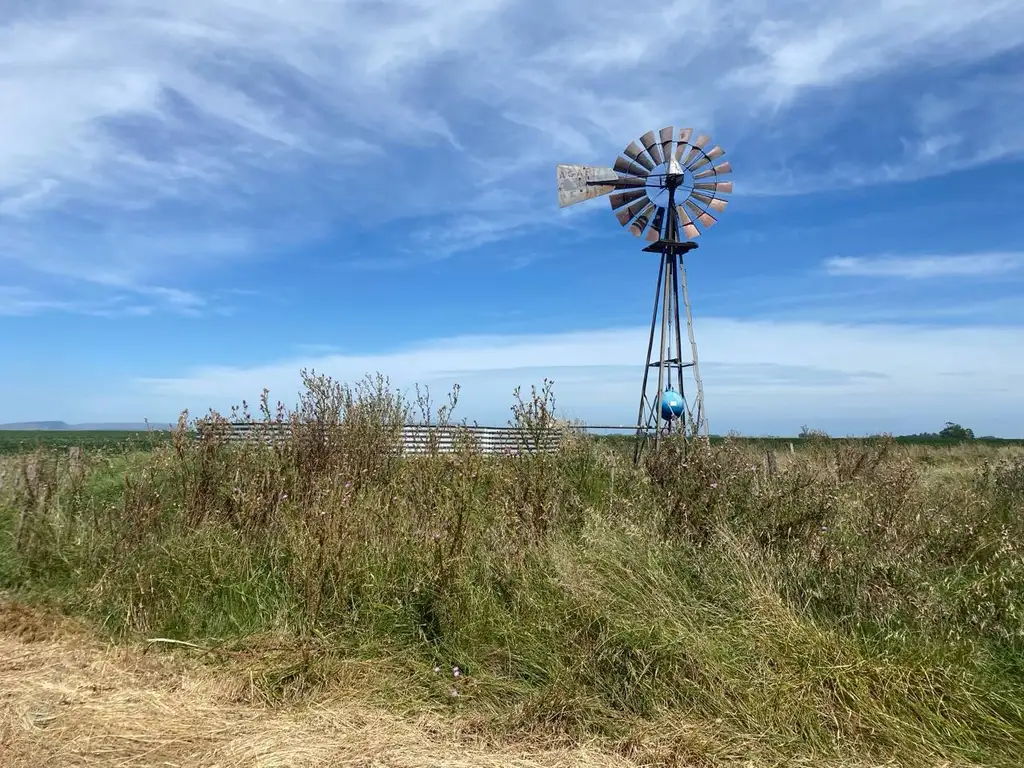 Campo en Ruta 226