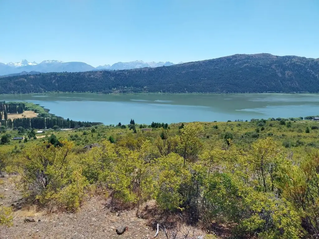 VENTA DE HECTÁREAS EN CHOLILA