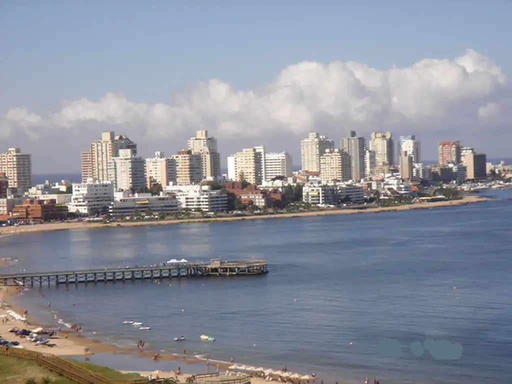 Departamento - Alquiler temporario - Uruguay, Punta del Este - RBLA. CLAUDIO WILLIMAN 100