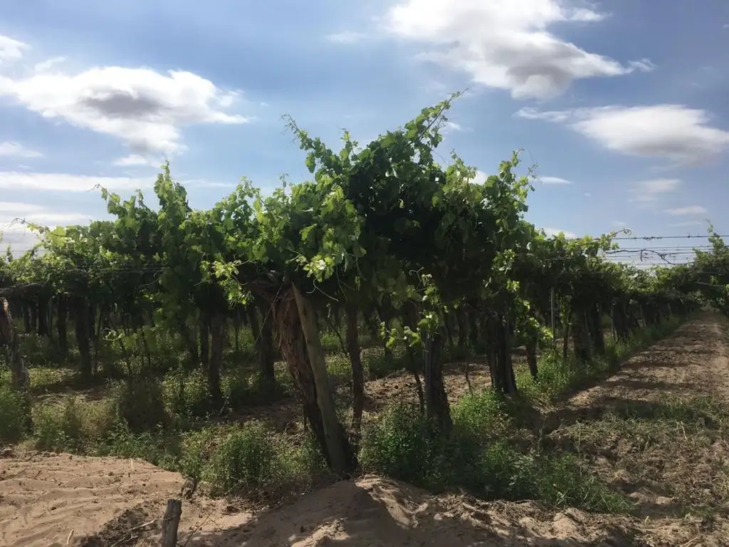 VENTA DE FINCA EN SANTA ROSA SOBRE RUTA NACIONAL 7