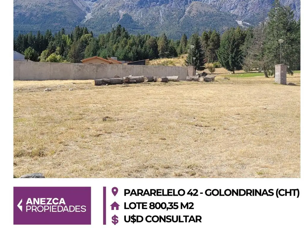 LOTE DE 800 M2, EN LAS GOLONDRINAS, LAGO PUELO