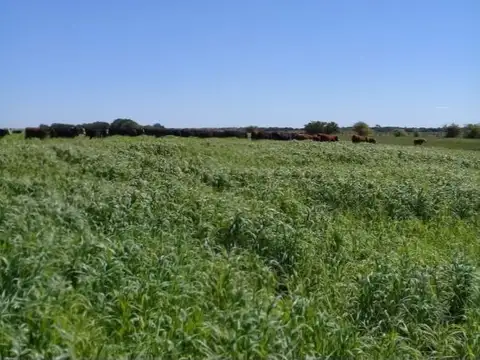 FINA PATAGONIA. Campo en venta de 740000m2 ubicado en General Madariaga