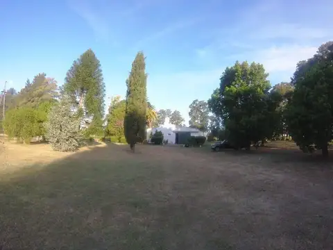 BARADERO. TERRENO DE 64HA. COLONIA SUIZA. 7KM POR PANAMERICANA KM 141. CAMINO ASFALTO CON CASA 3 AMB - Foto 0
