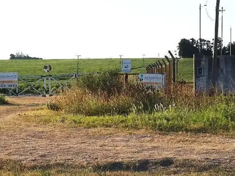 Campo en Venta -