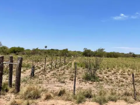 VENTA CAMPO - LA PROMESA