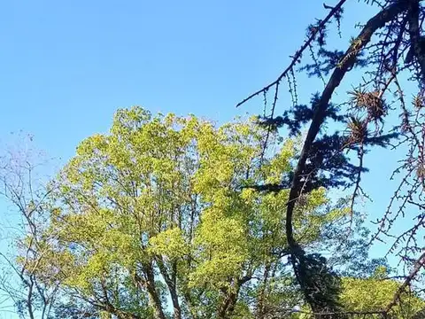 Terreno en Barrio Santa Rita, San Isidro, Bs. As. - Foto 0