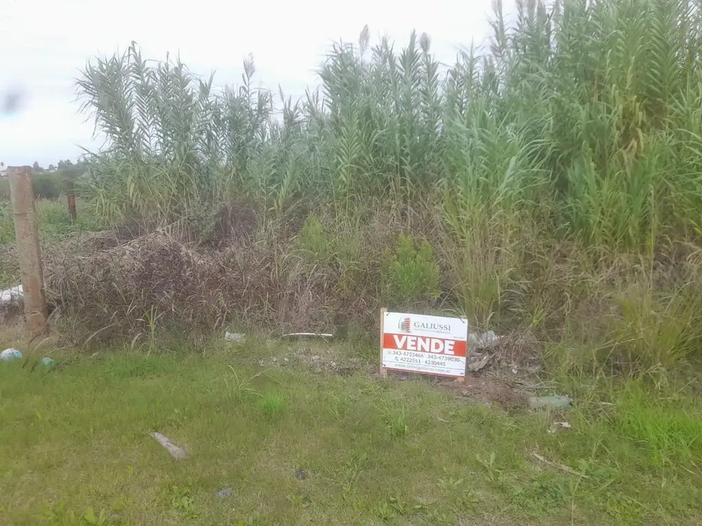 Se vende terreno de gran tamaño en calle Miguel David